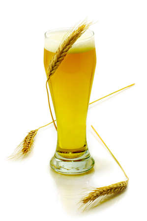 Isolated image of a glass of beer and a wheat on a white backgroundの写真素材