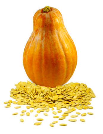 Isolated image of a pumpkin and seeds on a white backgroundの写真素材