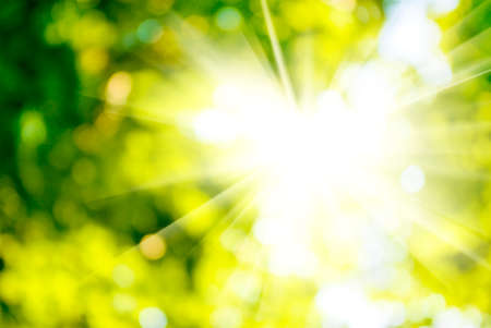 image of the sun on a green background closeupの写真素材