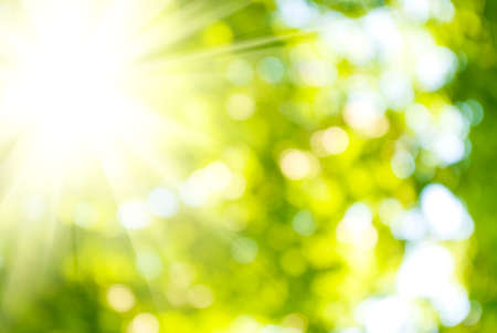 image of the sun on a green background closeupの写真素材