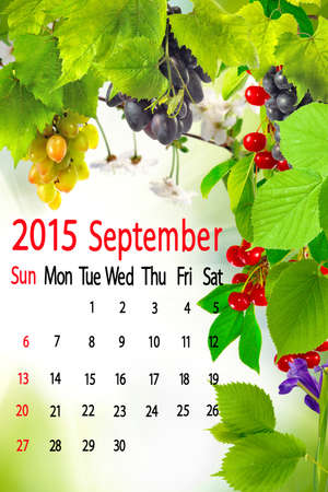 2015 Calendar. September. Image of the branch of grapesの写真素材