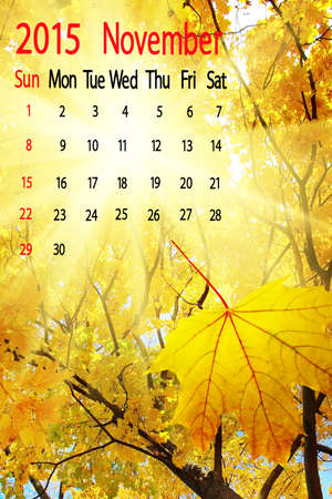 2015 Calendar.November. Image of falling leavesの写真素材