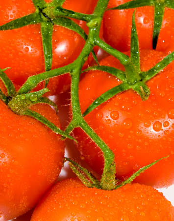 image of red tomatoes closeupの写真素材