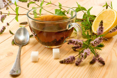 cup of tea and mint branches on the tableの写真素材