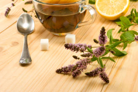 cup with a delicious mint tea and twigs on the table closeup