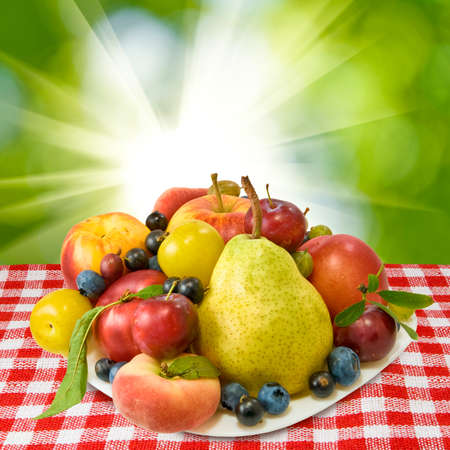 image of different delicious fruits against the sunの写真素材