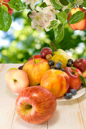various ripe fruits on a plate on a blurred backgroundの写真素材