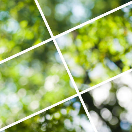 mix of natural abstract backgroundsの写真素材