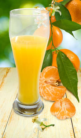 image of juicy and tangerine on a green backgroundの写真素材