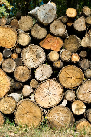 image of dry firewood laid in a heap for kindling the furnaceの写真素材