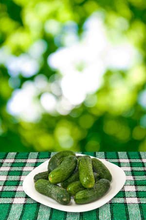 image of a plate with cucumber on green background closeupの写真素材