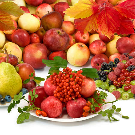 image of different fruits closeup on white backgroundの写真素材