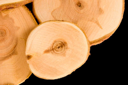 wood slice on  black backgroundの写真素材