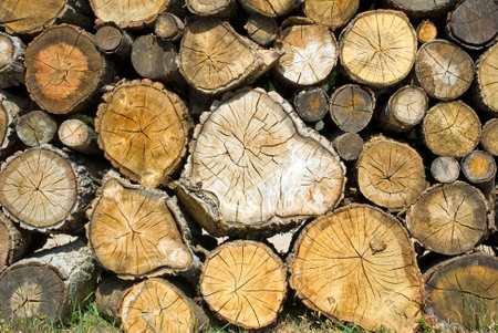 dry firewood laid in a heap for kindling the furnace closeupの写真素材
