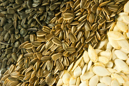Image of various seeds closeupの写真素材