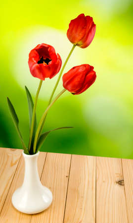 three flowers tulips in a vase on a green  backgroundの写真素材