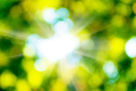 abstract image of a green plant backgroundの写真素材