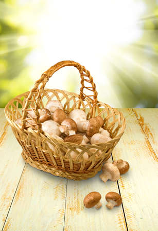 image of champignons in basket closeupの写真素材