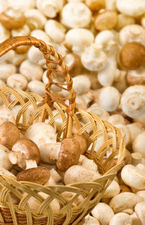 image of champignons in basketの写真素材