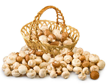 Isolated image of champignons in basketの写真素材