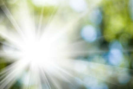 image of the sun in the blurry natural green backgroundの写真素材