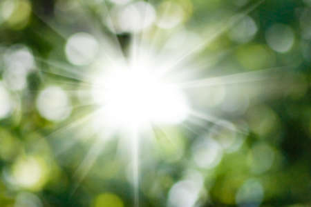 image of the sun in the blurry natural green backgroundの写真素材