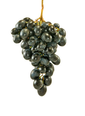 Isolated image of black grapes on a white background closeupの写真素材