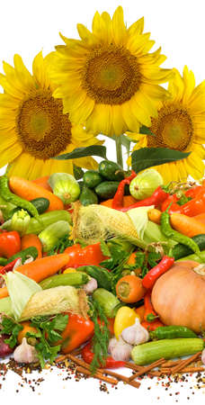 different vegetables on a white backgroundの写真素材