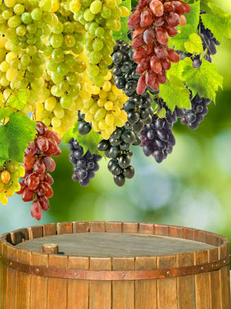 image of grapes on a barrel on a green backgroundの写真素材