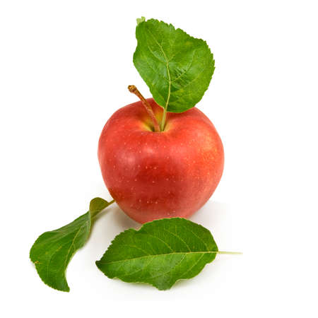 image of a ripe apple on a white backgroundの写真素材