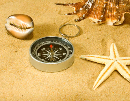 image of sea shells and compass in the sand closeupの写真素材