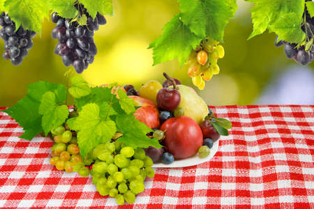 image of different fruits on green backgroundの写真素材