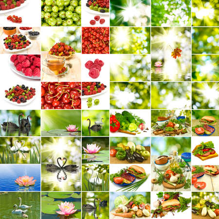 image of mix nature and foodの写真素材