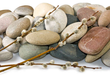 Image of rocks and willow branchesの写真素材