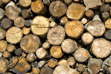 dry firewood laid in a heap for kindling the furnaceの写真素材