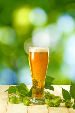 mugs with beer and hop on wooden tableの写真素材