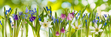 image of beautiful flowers on a green background closeupの写真素材
