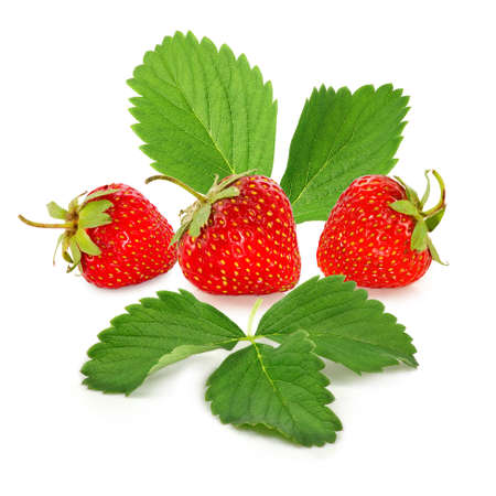 Isolated image of strawberries closeupの写真素材