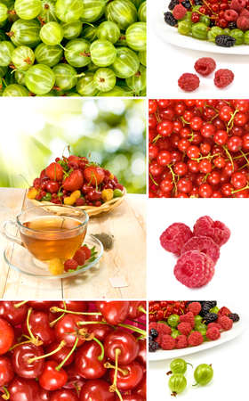 Isolated image of various berries on a white backgroundの写真素材