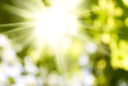 abstract image of a green plant background closeup