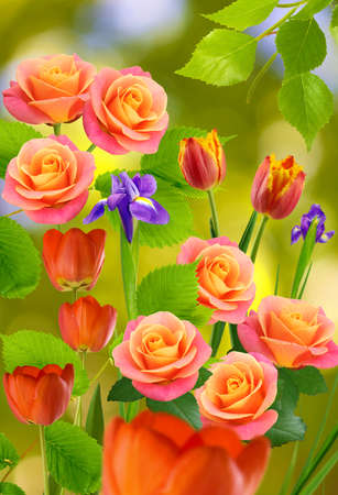 beautiful tulips and roses in the gardenの写真素材