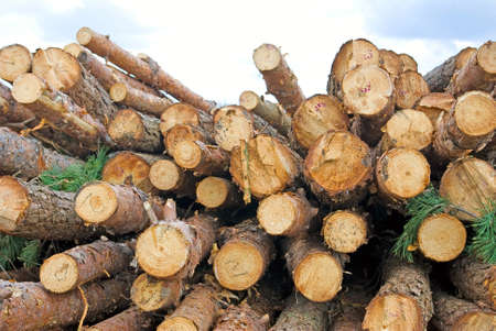 Image of firewood in the village closeupの写真素材