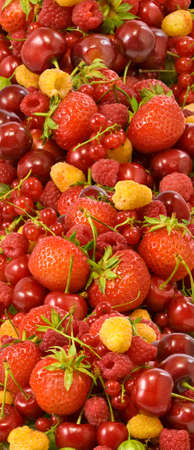 Image of different berries ???????の写真素材