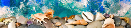 stones and shells on water backgroundの写真素材