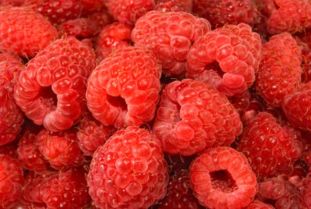 image of a ripe raspberry closeup