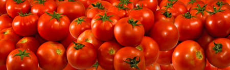 image of many ripe tomatoesの写真素材