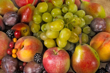 Image of many fruits and berries on a green backgroundの写真素材