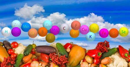 Image of ripe vegetables against the skyの写真素材