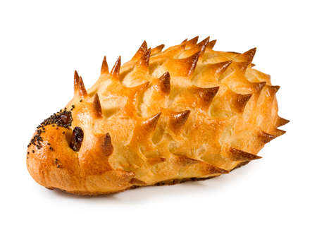 Isolated image of a cake in the form of a hedgehogの写真素材