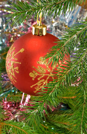 image of Christmas ball on a Christmas treeの写真素材